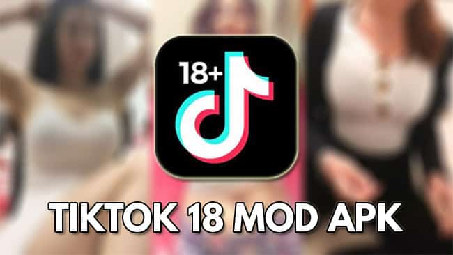 🤖 Download TikTok 18 .apk (23 MB)