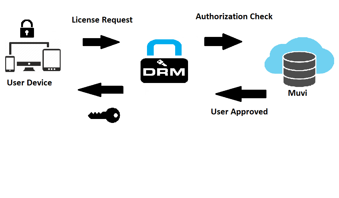 DRM Check 1.0.2.apk