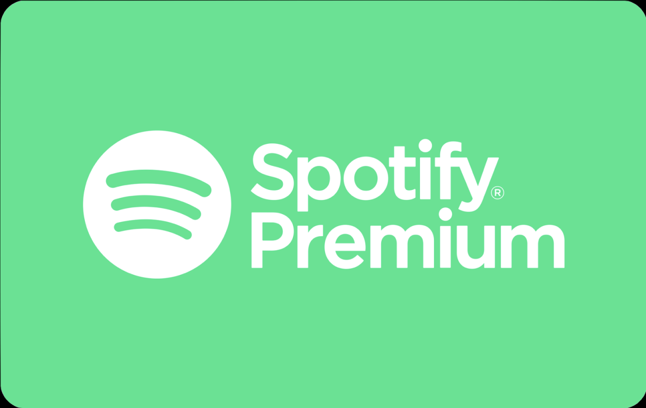 Mod16 Spotify v8.9.46.426  Premium .apk