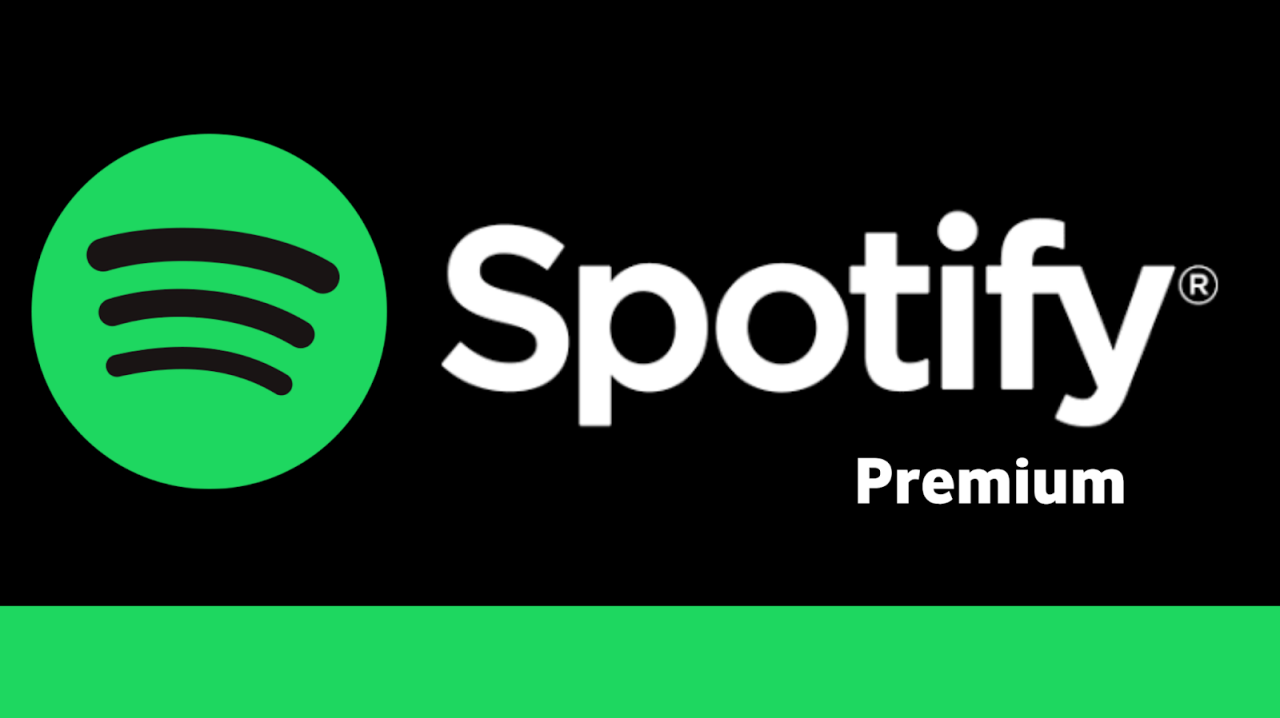 Spotify v8.9.50.552  Premium .apk