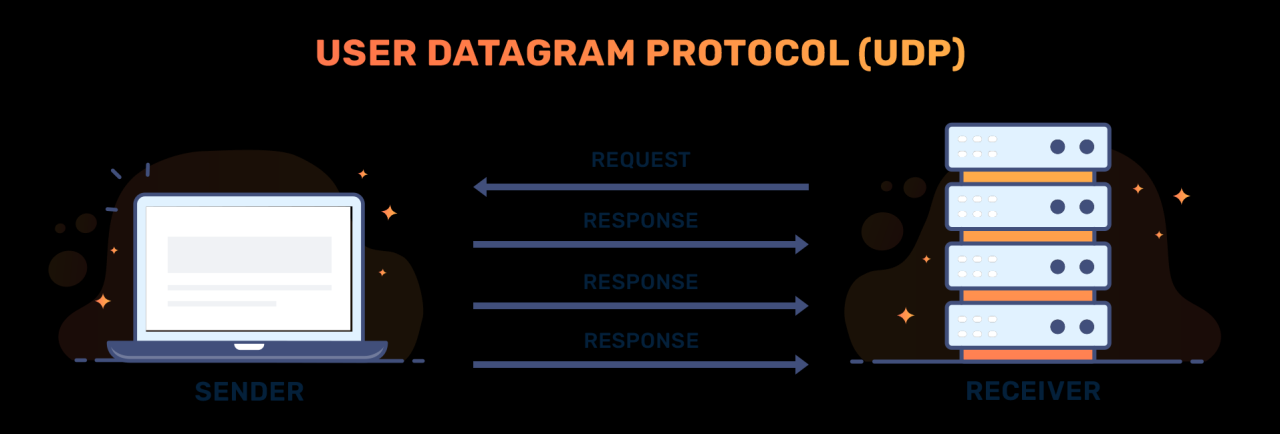 UDP X-NET PREM 50ip.hc