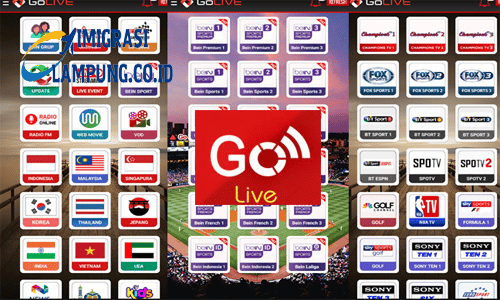 Golive v5.5 New .apk