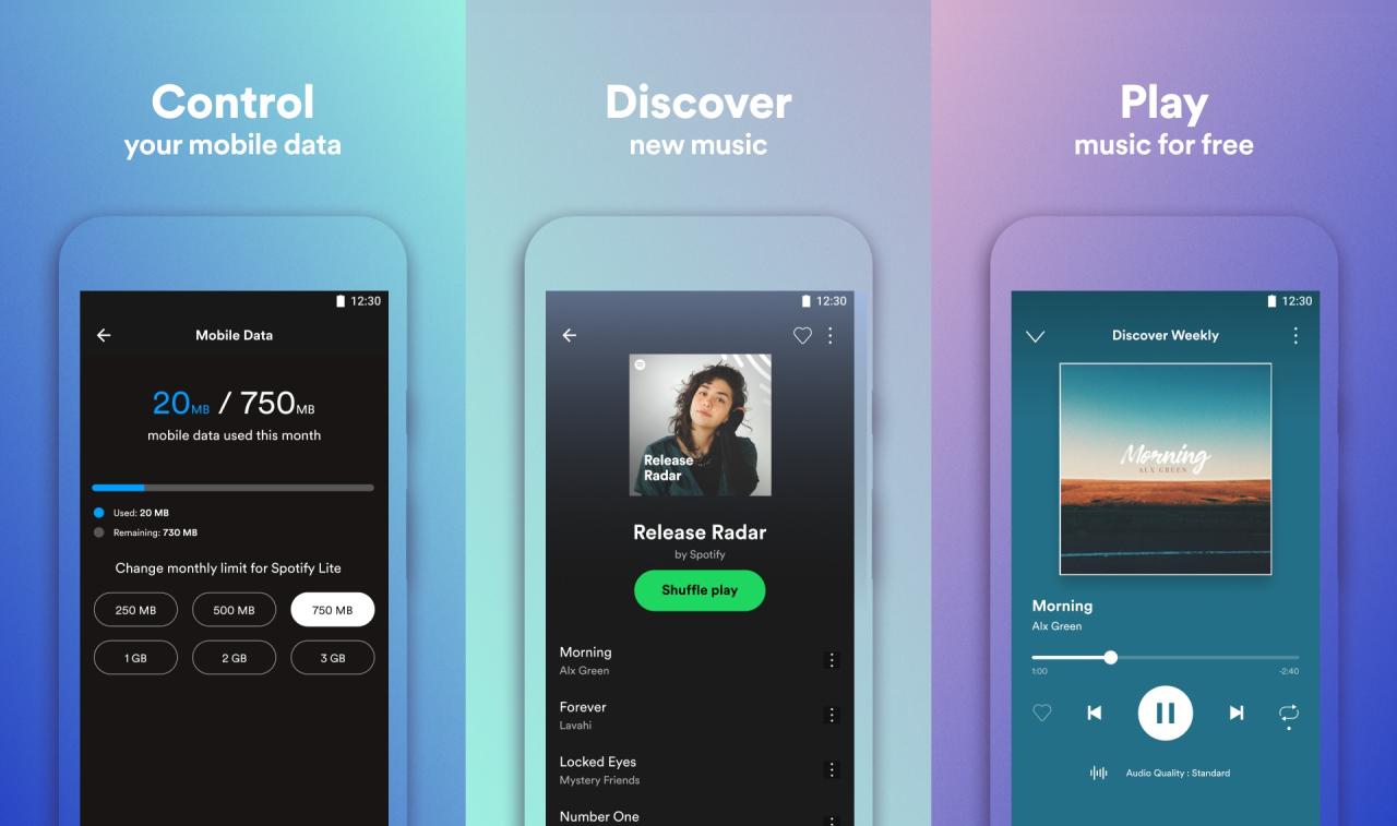 Spotify v8.9.58.572  Mood16  Lite.apk