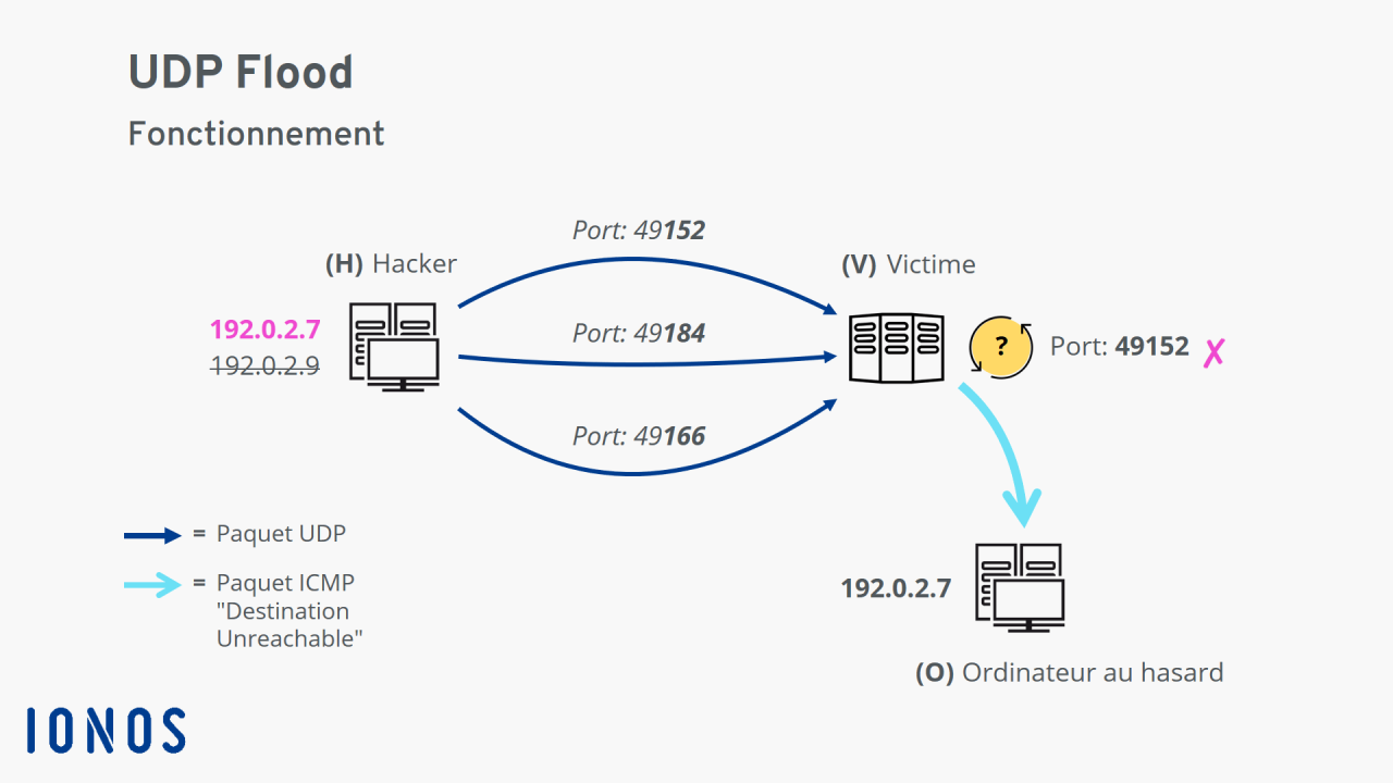 UDP HC X-NET SG 1.hc