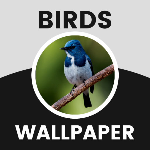 Birds VPN Pro.apk