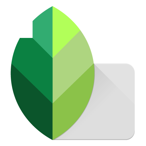 Snapseed v2.19.1.303051424 - Mod.apk