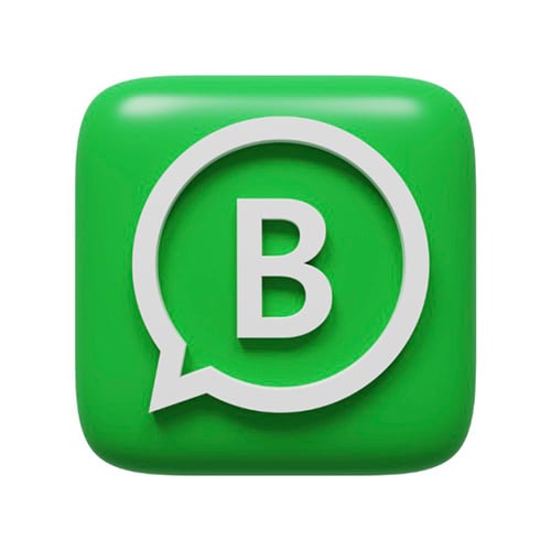 WhatsApp Business 2.24.17.21.apk