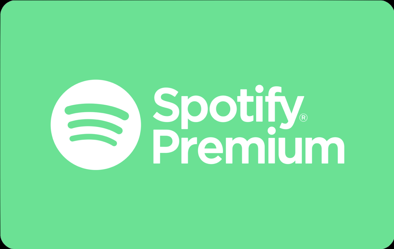 Spotify Premium v8.9.64.548  by - It s me EagleBoy .apk