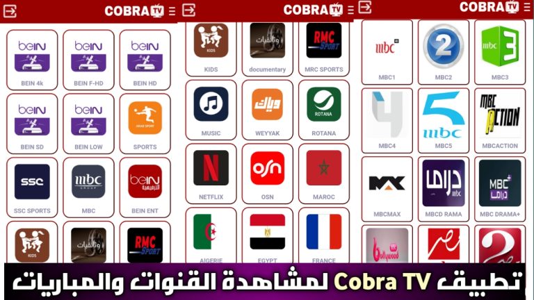 ⬇️ Unduh cobra tv pro.apk (23.43 MB)