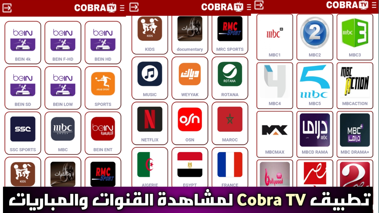 cobra tv pro.apk