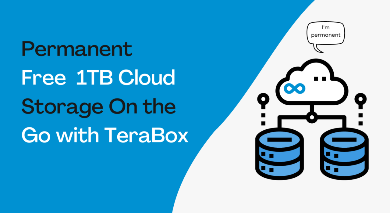 TeraBox Cloud Storage Space 3.34.3 Premium Arm64-v8a.apk