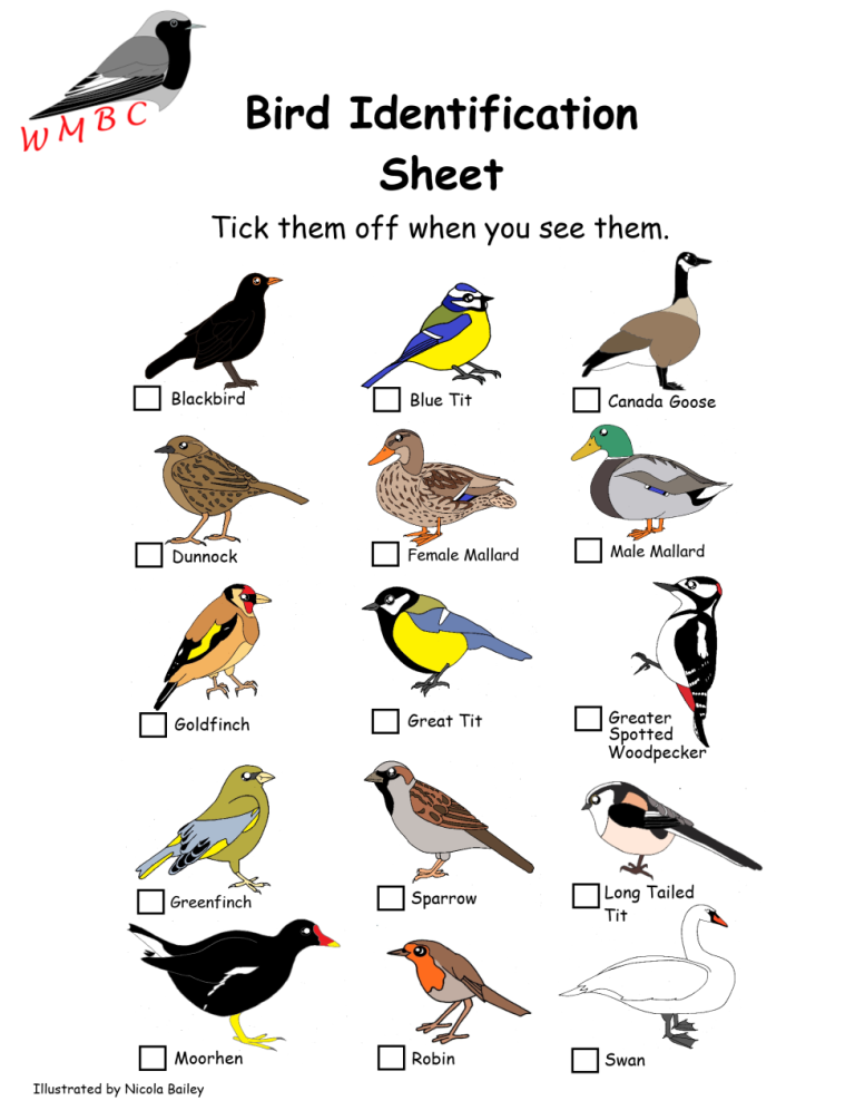 🤖 Gratis Picture Bird Identifier 2.9.28 Premium.apk (49.96 MB)