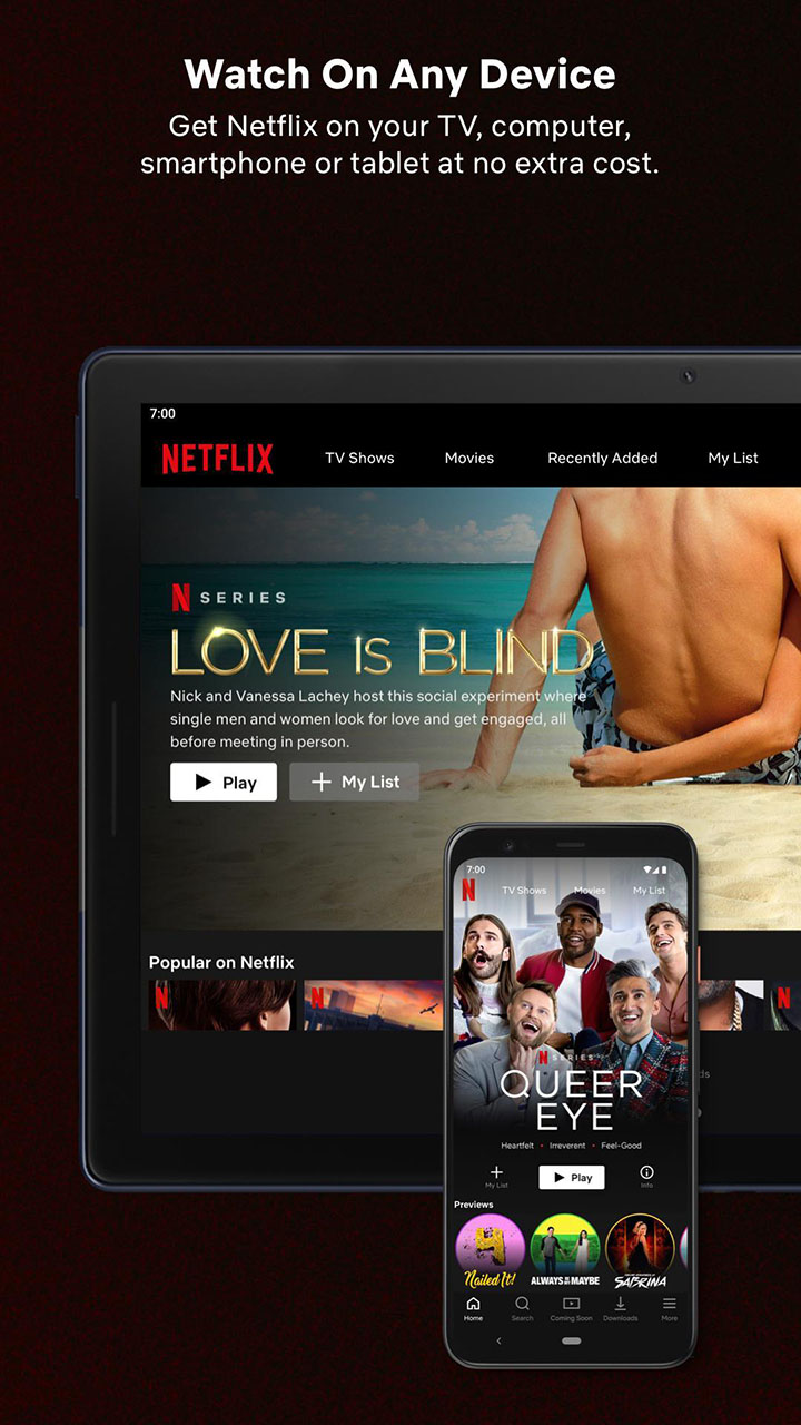 Netflix 9.86 Mod CL 17-AServer 01.05.2024 ultra.apk