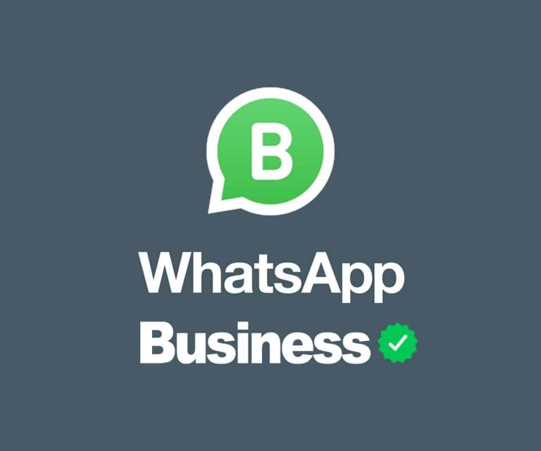 ⏬ Download WA Business Lite clone 2.24.16.77.apk (65.56 MB)