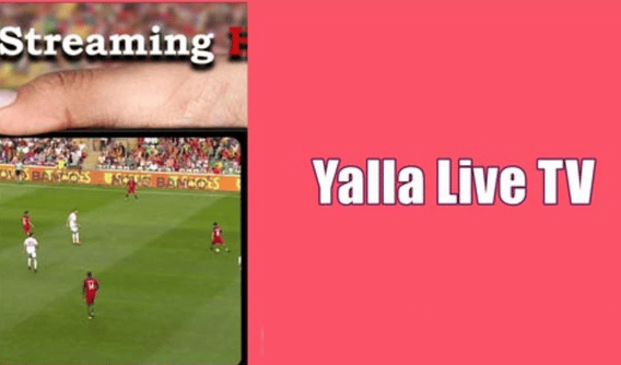 ✅ Gratis Jala TV Live 9.8 Premium Unduh gratis Android terbaru 2024.apk (1.02 MB)