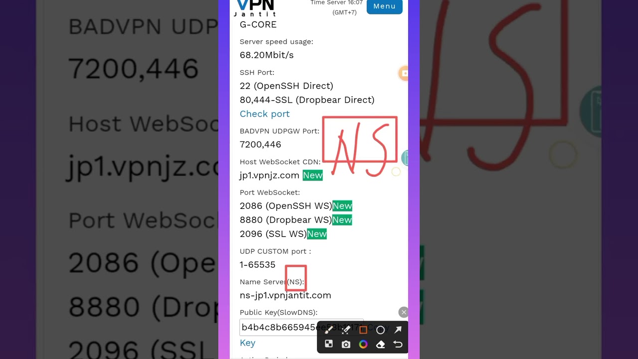 HTTP SLOWDNS4 ZNY.hc