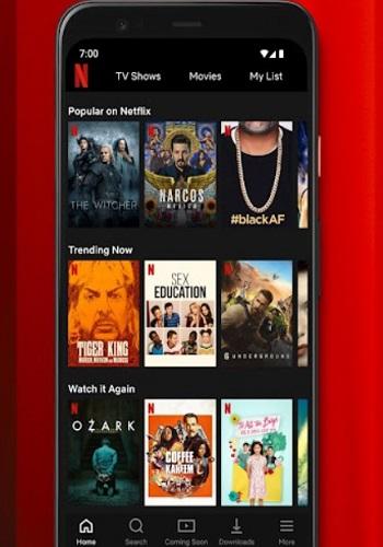 Netflix Mirror APK Old Version Free for Android.apk