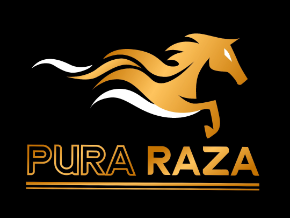 Raza TV With AI signed 2.apk