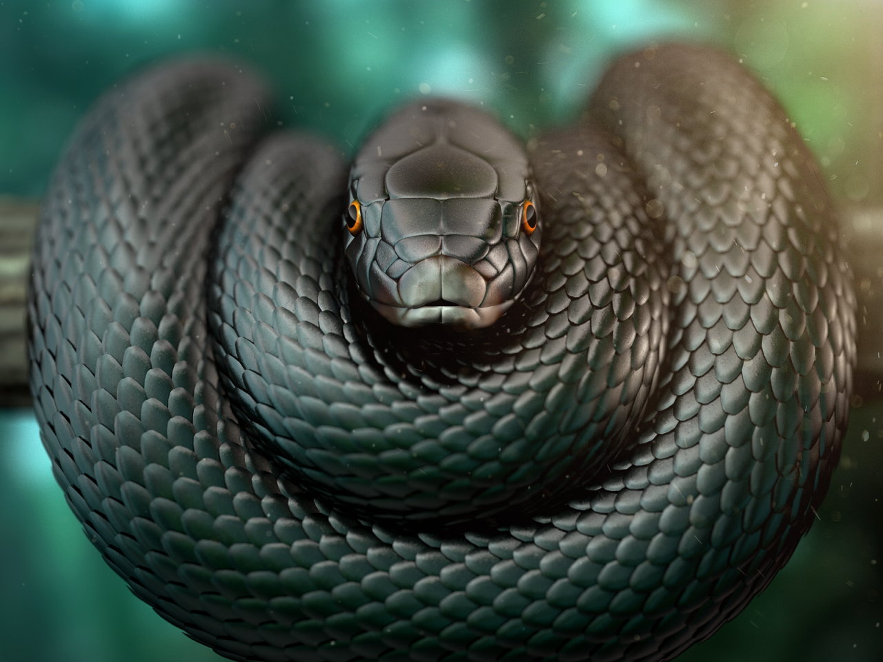 BLACKMAMBA TV   VOD .apk