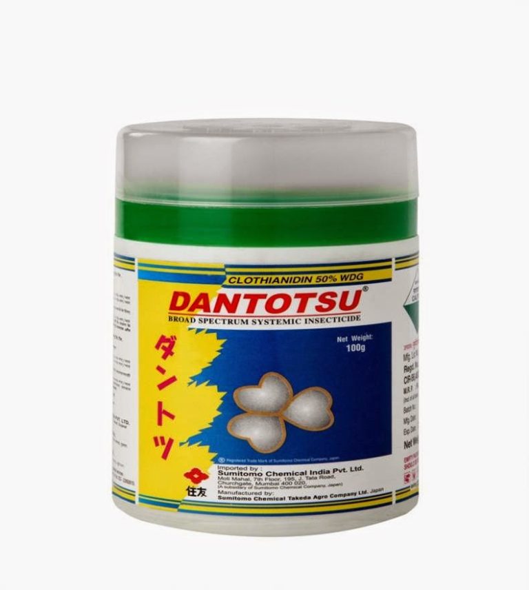 ✅ Download Dantotsu APK For Android Download Free.apk (5.42 MB)